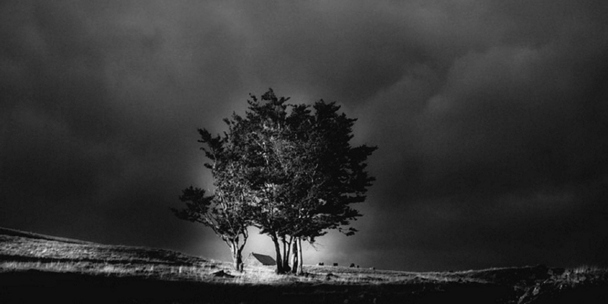 [Saison culturelle] - Exposition "Errance"
