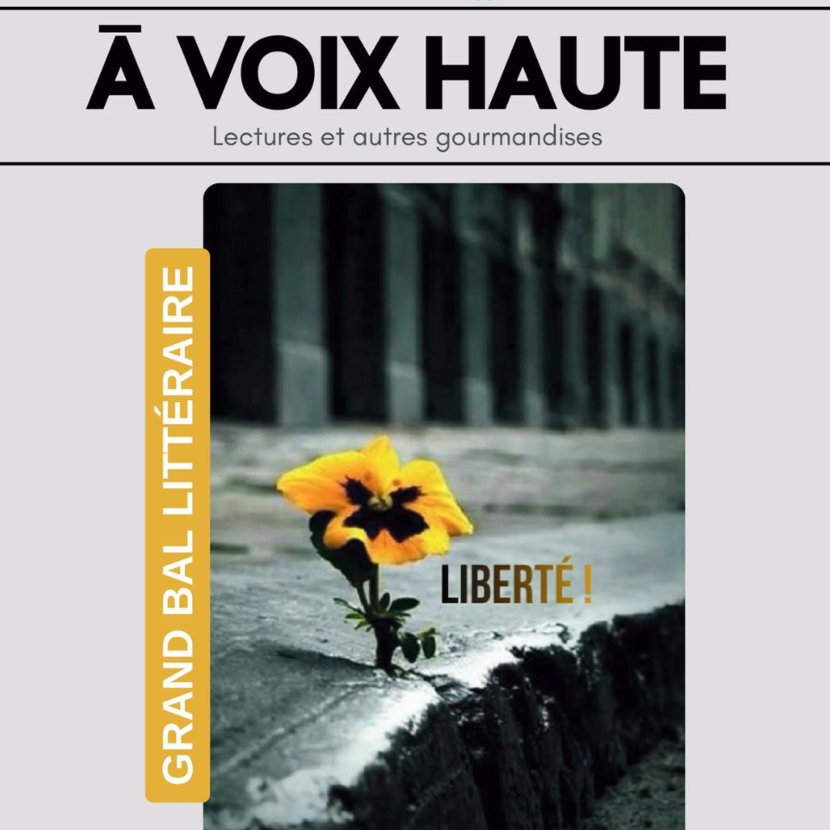 Image par défaut