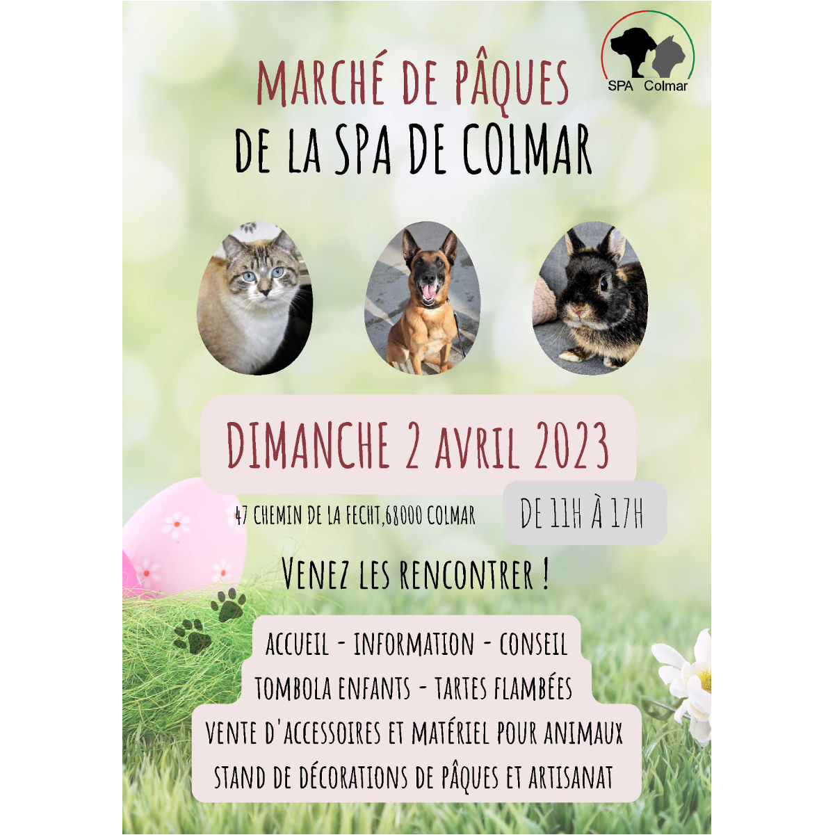 Image par défaut
