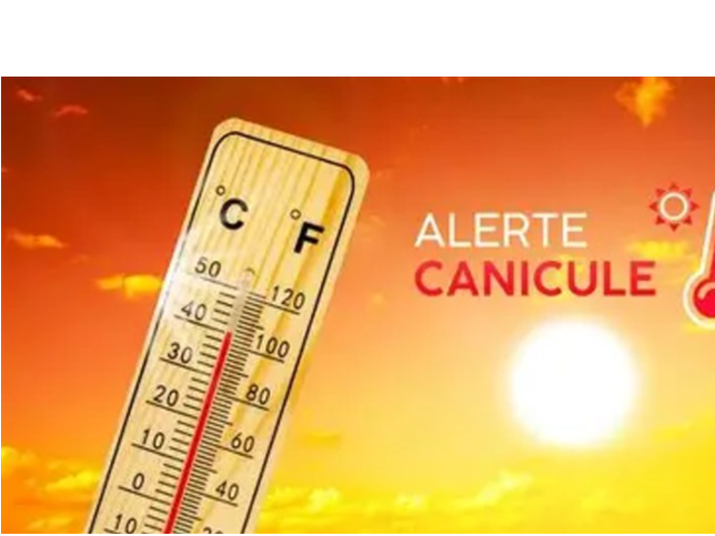 Image par défaut