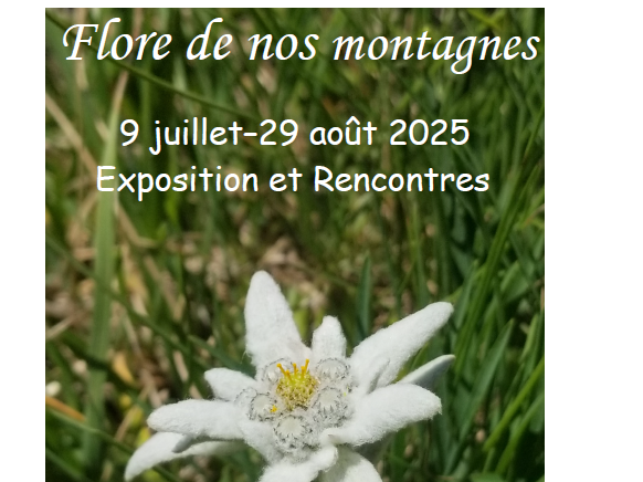 Image par défaut
