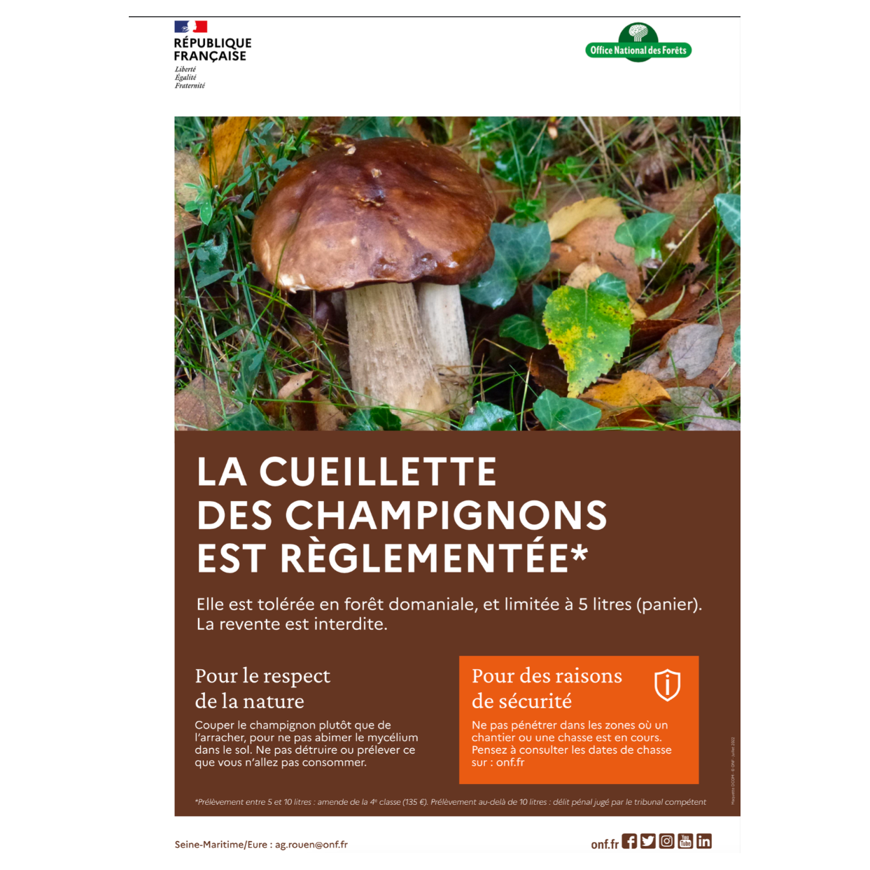 Image par défaut