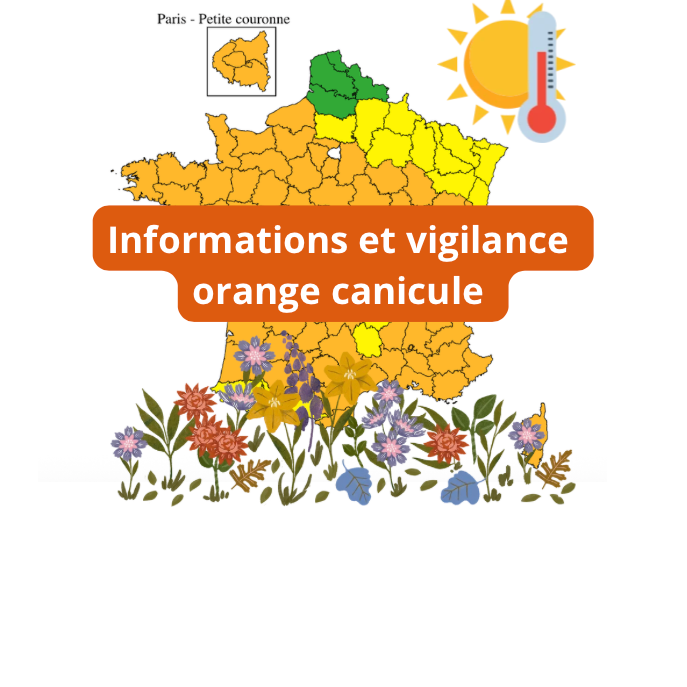 Image par défaut