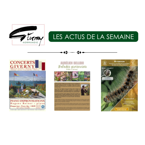 Image par défaut