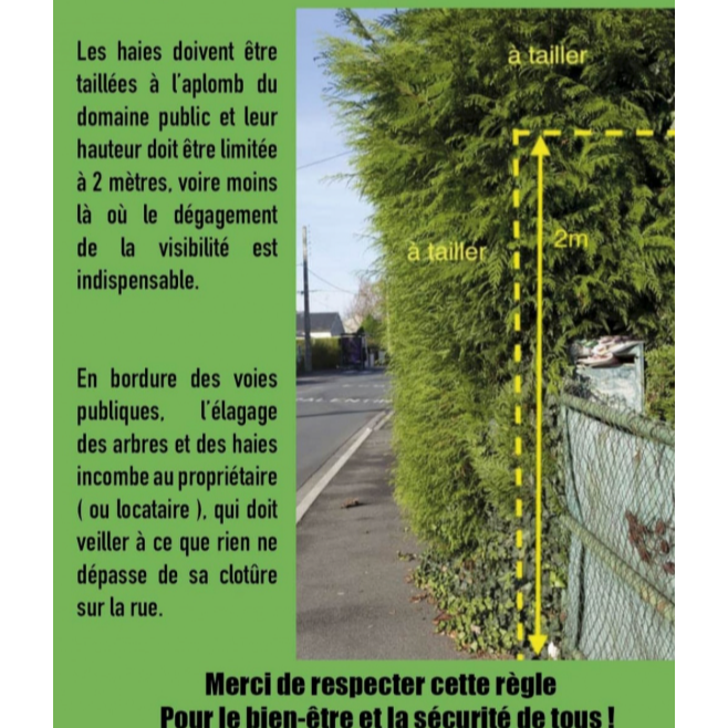 Image par défaut