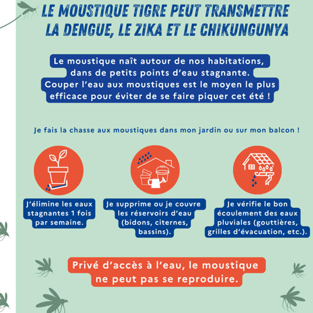 Image par défaut