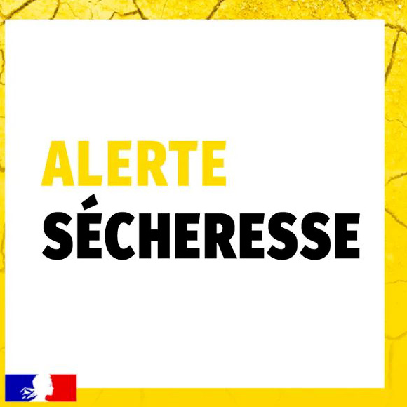 Image par défaut