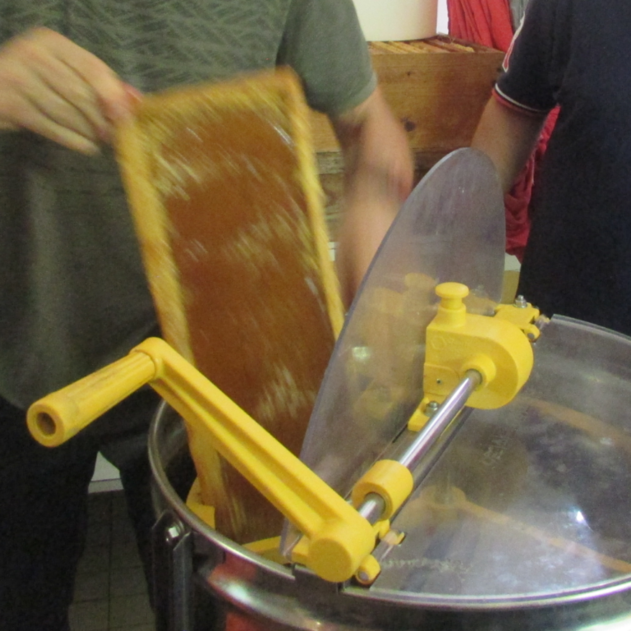 Extraction du miel