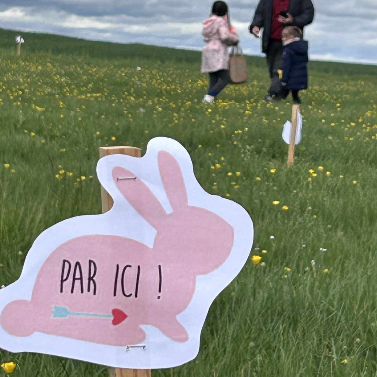 Image par défaut