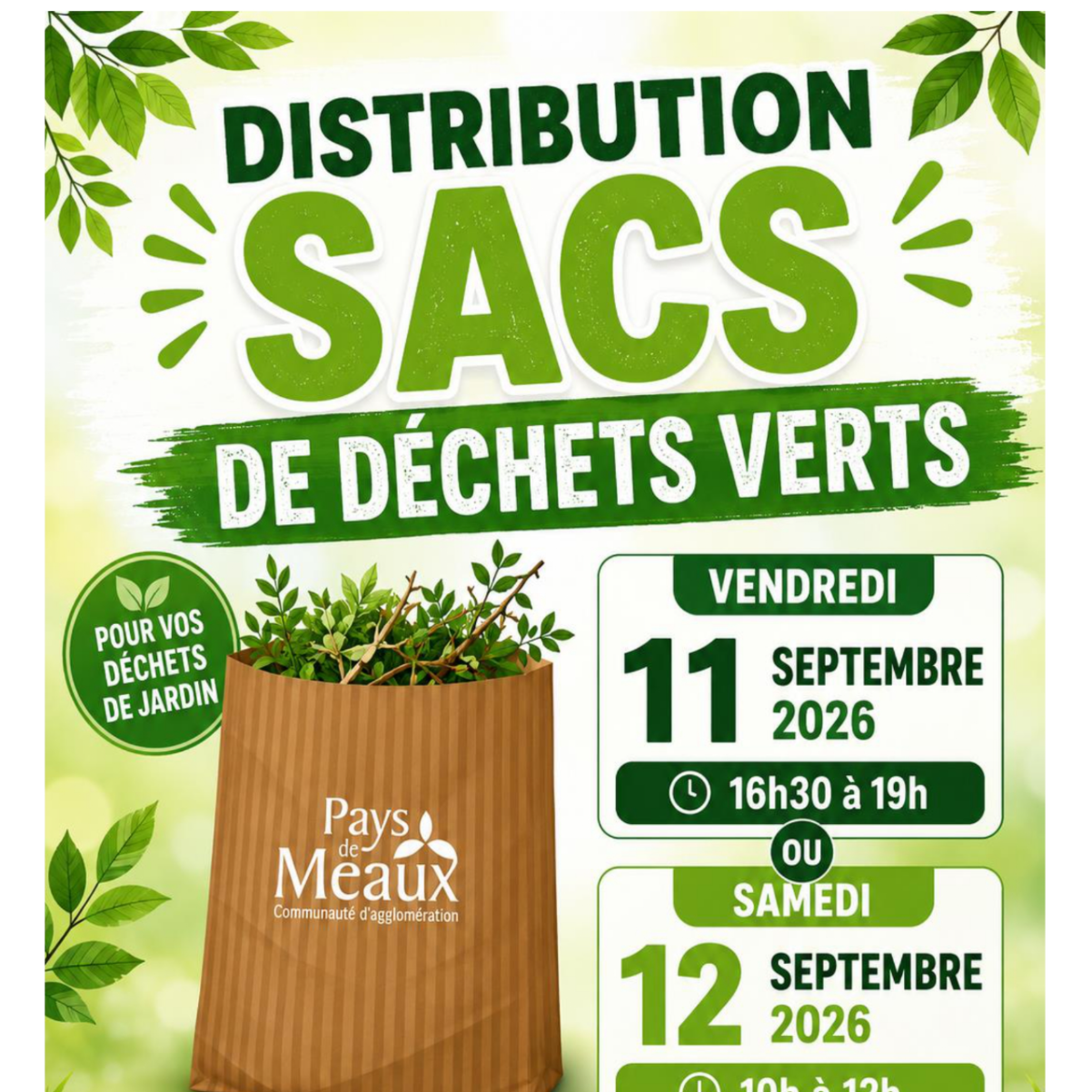 Image par défaut