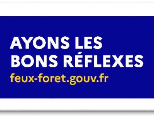 Image par défaut