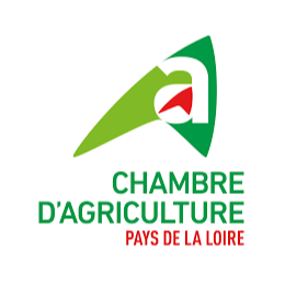Image par défaut