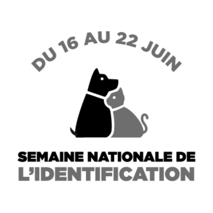 Image par défaut