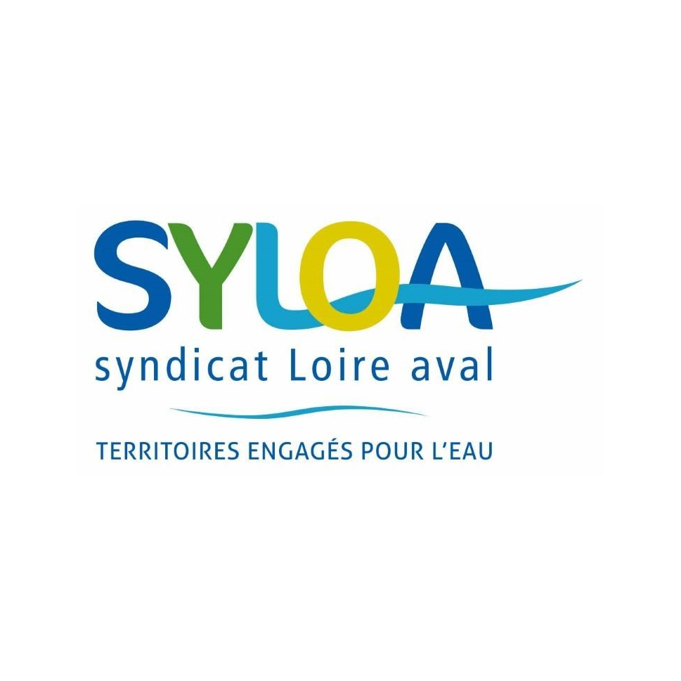 Image par défaut