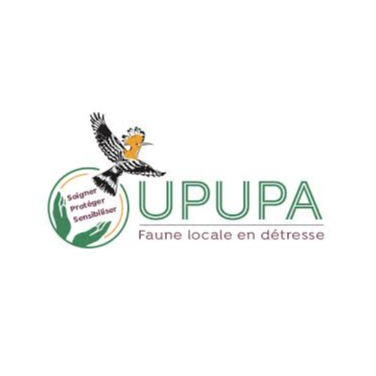Image par défaut
