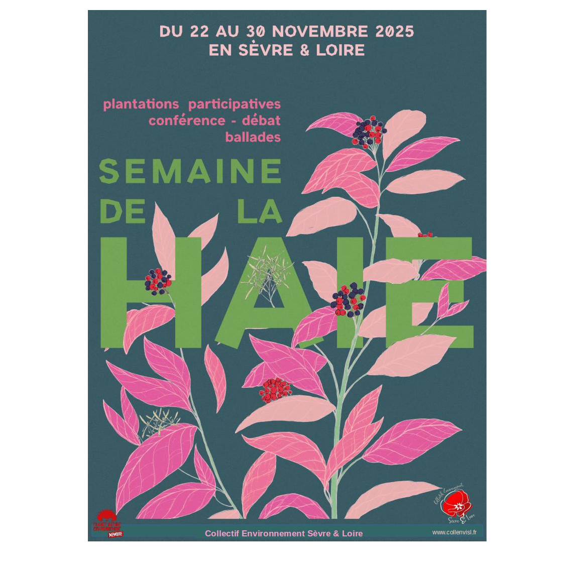 Image par défaut