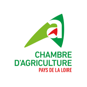 Image par défaut