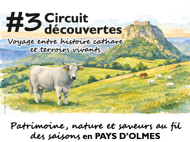 Image par défaut
