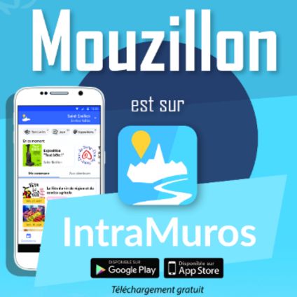 Affiche IntraMuros Mouzillon.jpg