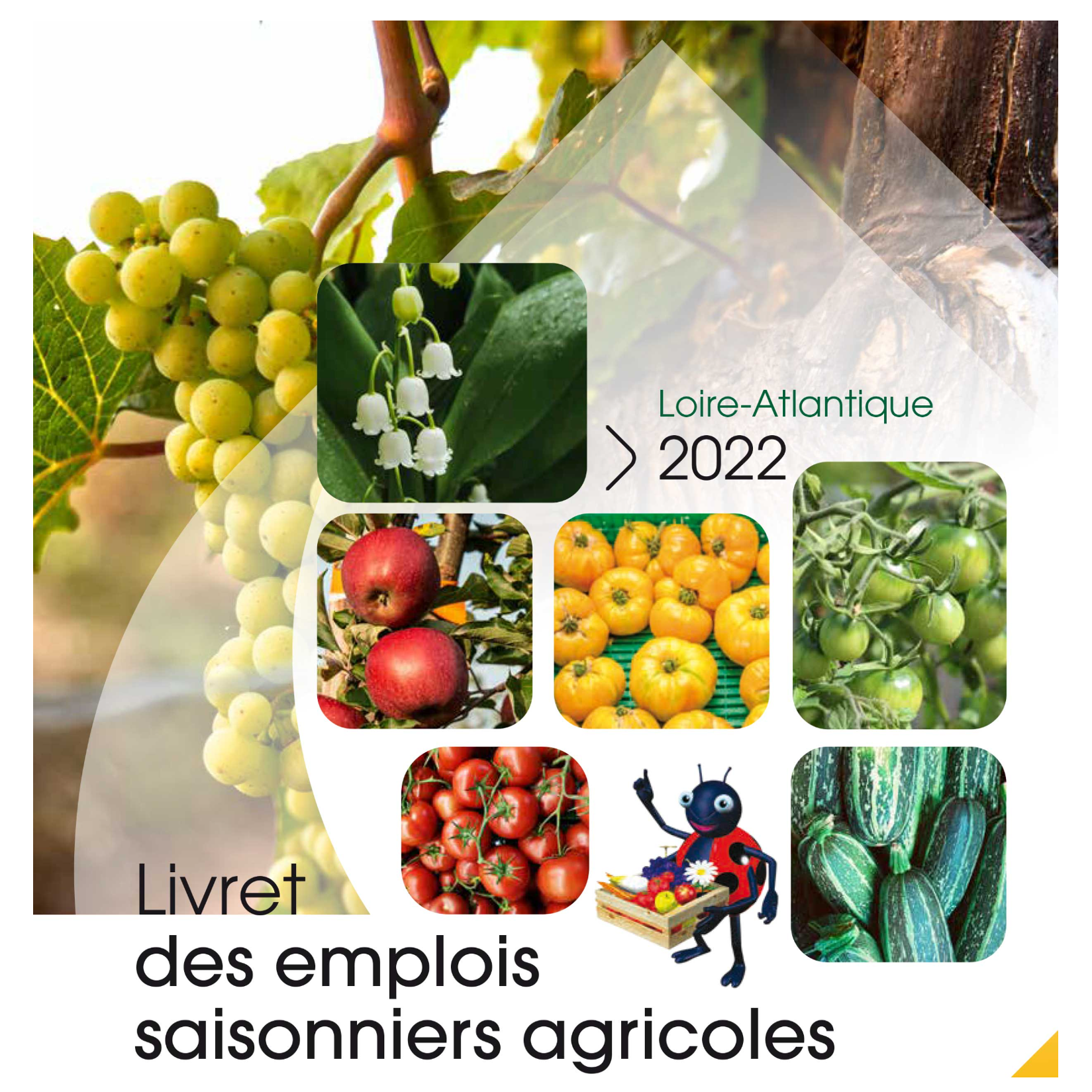 Image par défaut