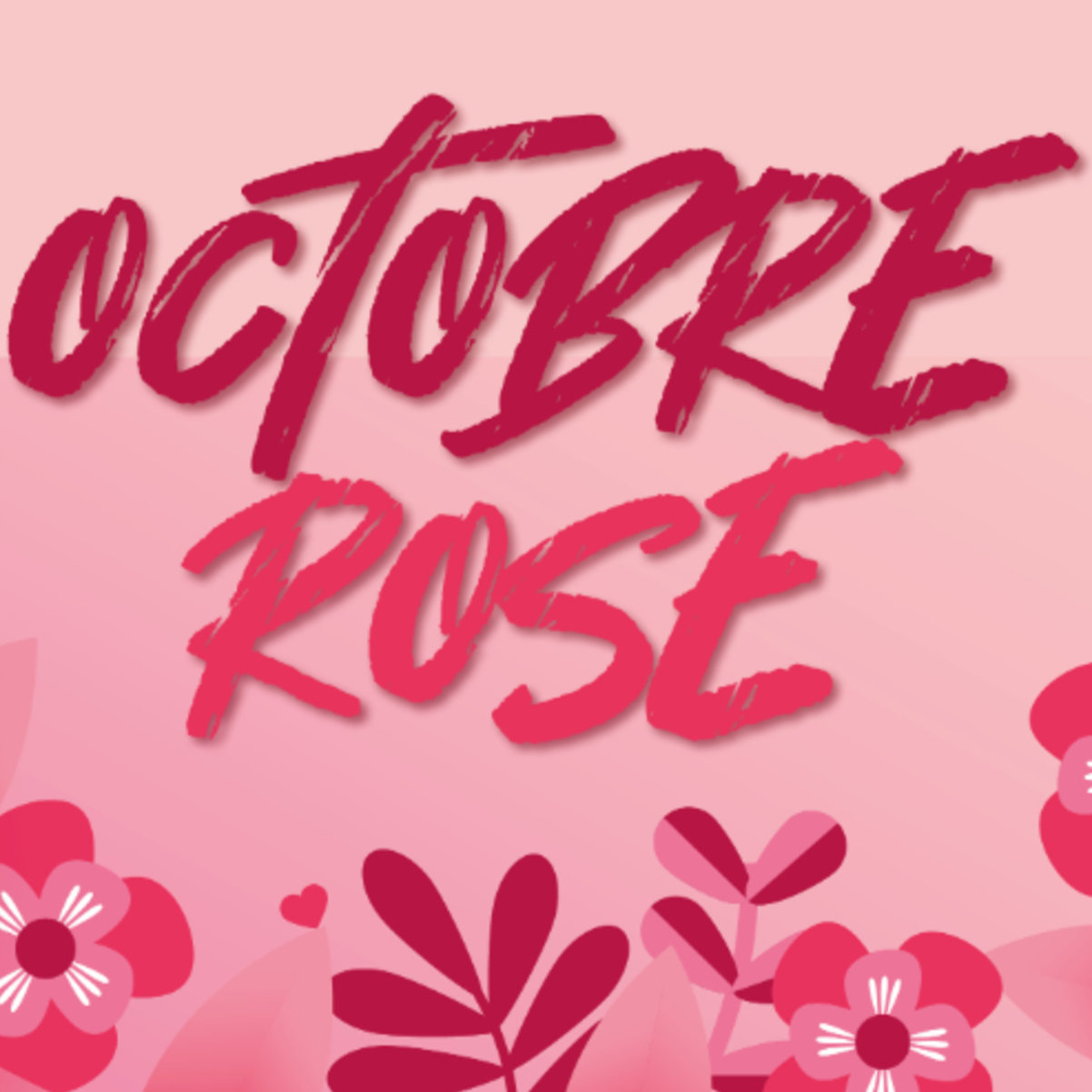 OCTOBRE ROSE À SOLESMES
