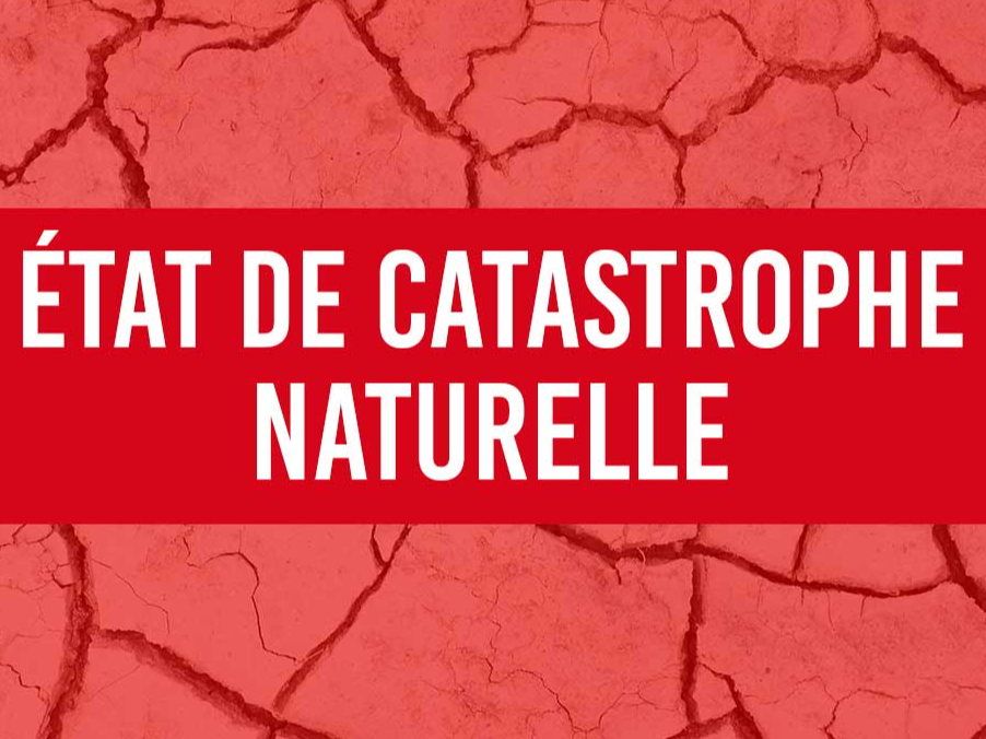 Image par défaut