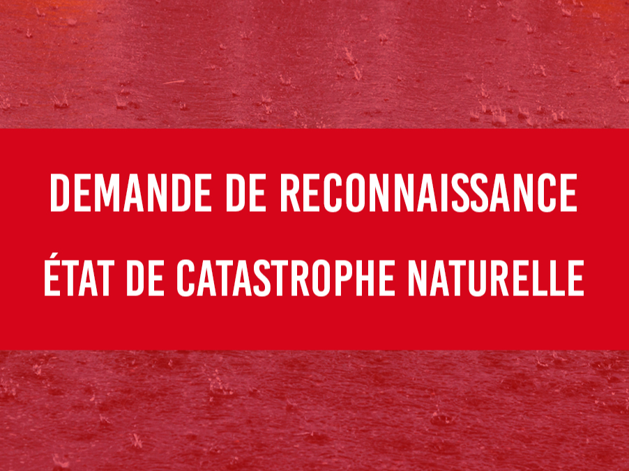 Image par défaut