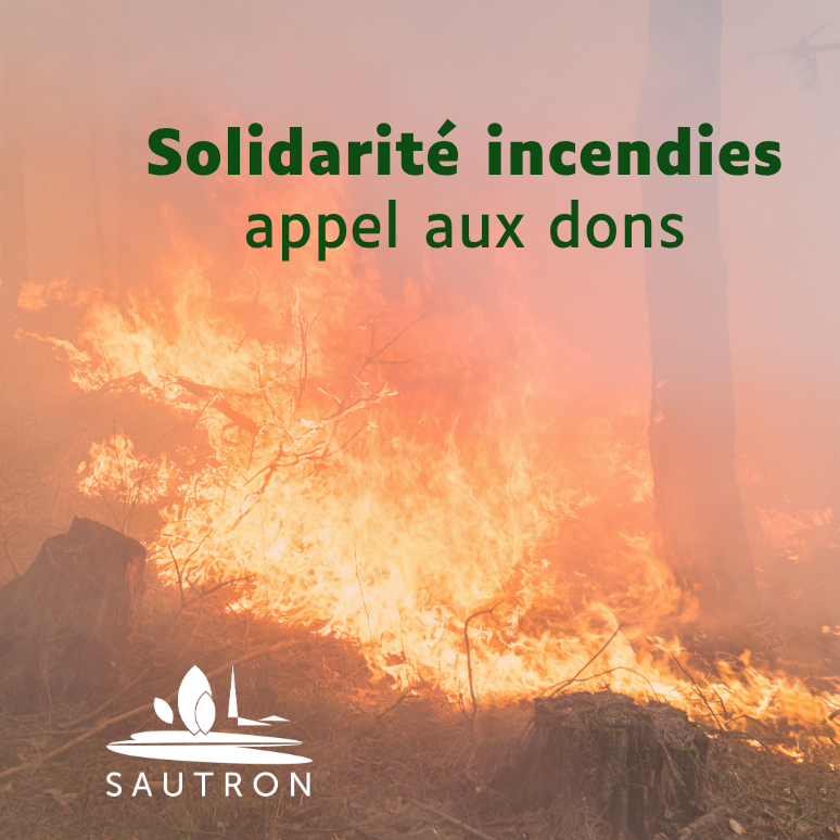 Image par défaut