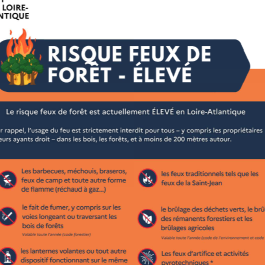 Image par défaut