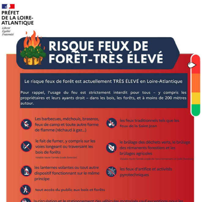 Image par défaut