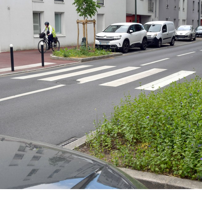 Image par défaut