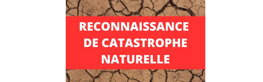 Image par défaut