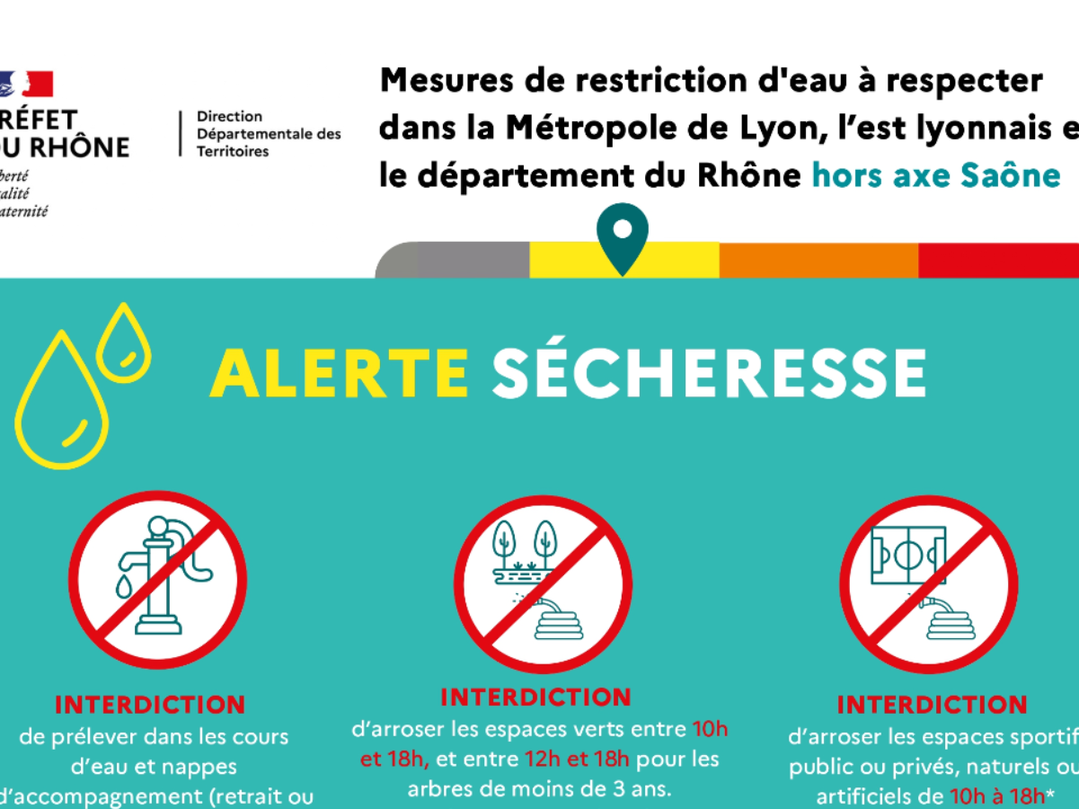 Image par défaut