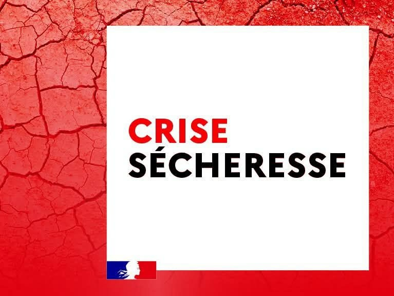 Image par défaut