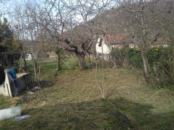 Jardin partagé _1_.jpg