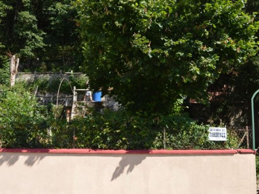 Jardins partagés  _1_.JPG