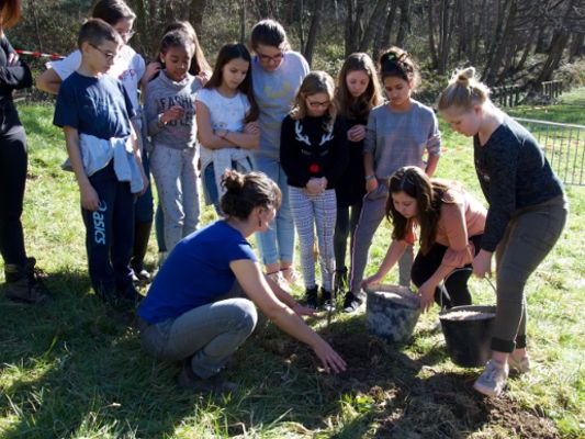 CM2 _ Noisetiers _1_.jpeg