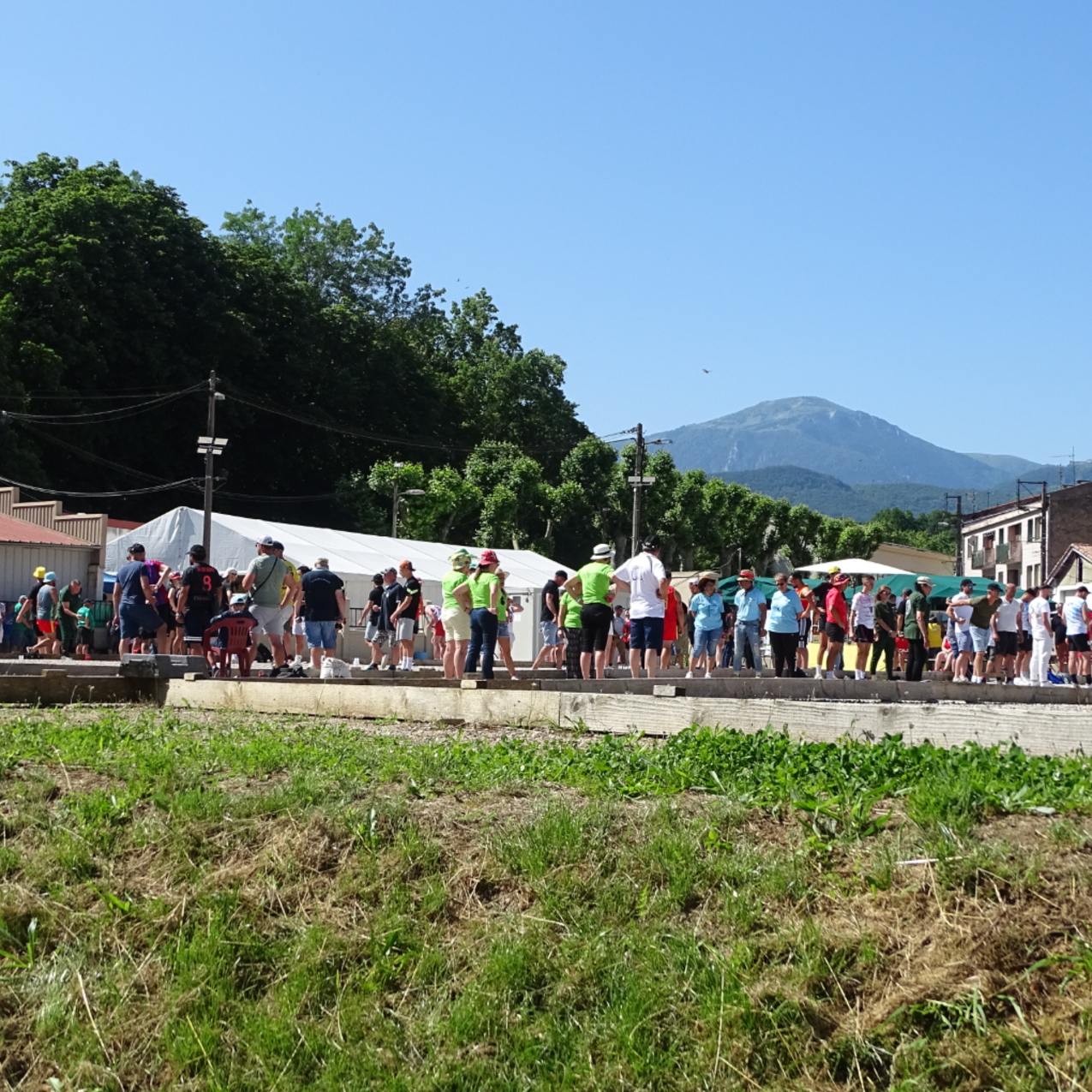 Image par défaut