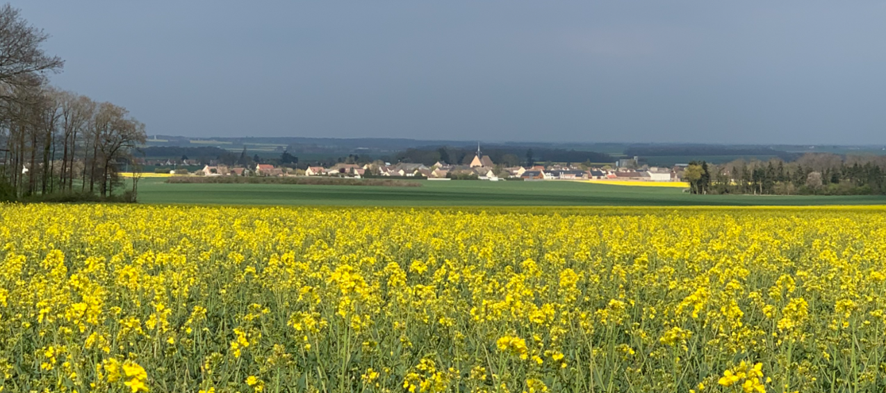 Bienvenue sur le Site