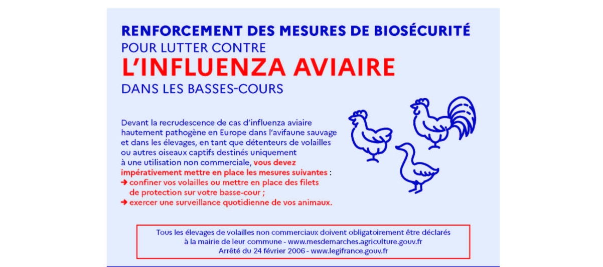 Alerte grippe Aviaire