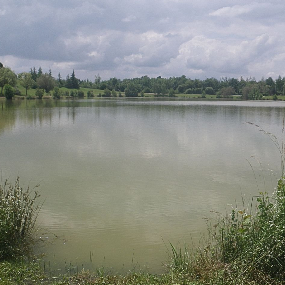Image par défaut