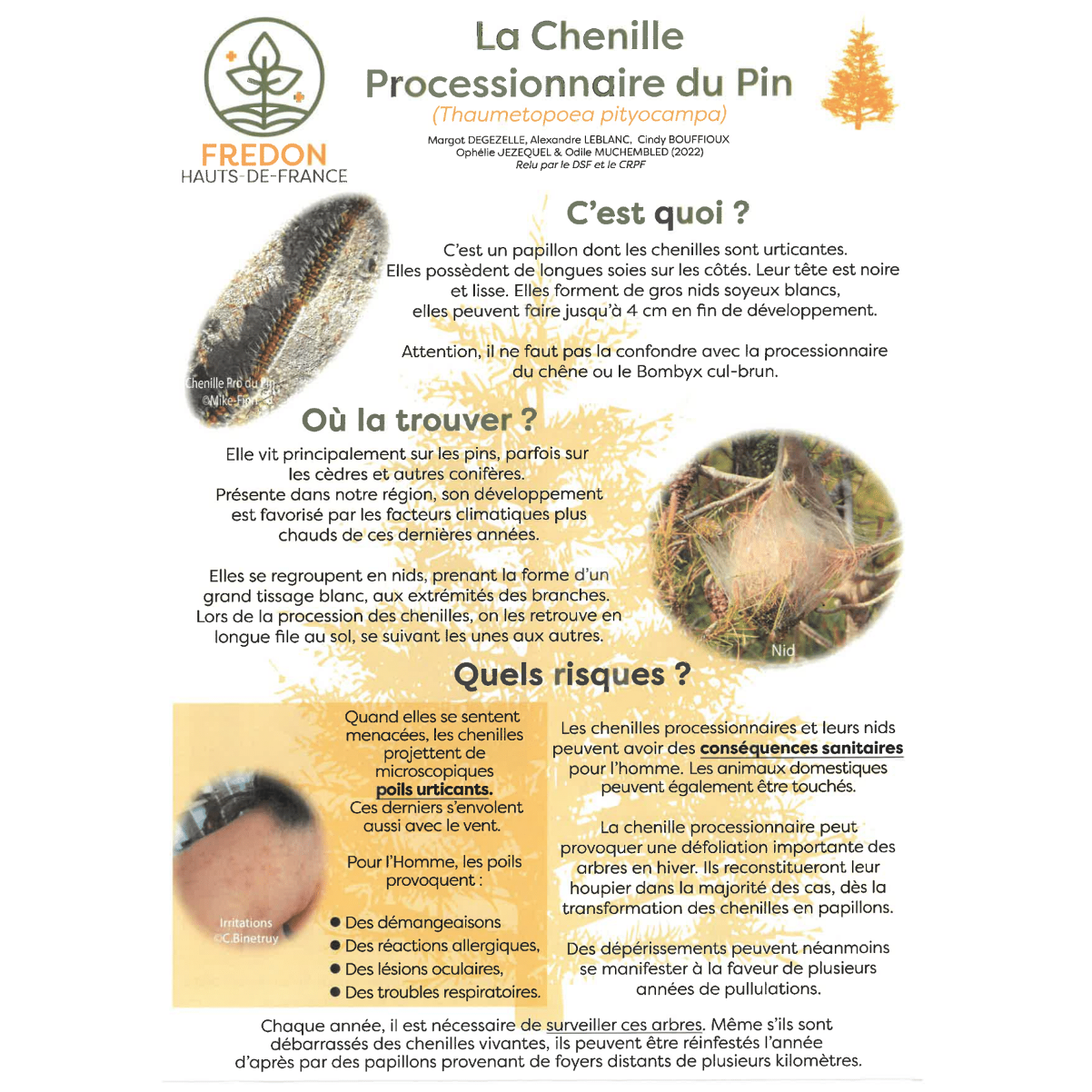 Image par défaut