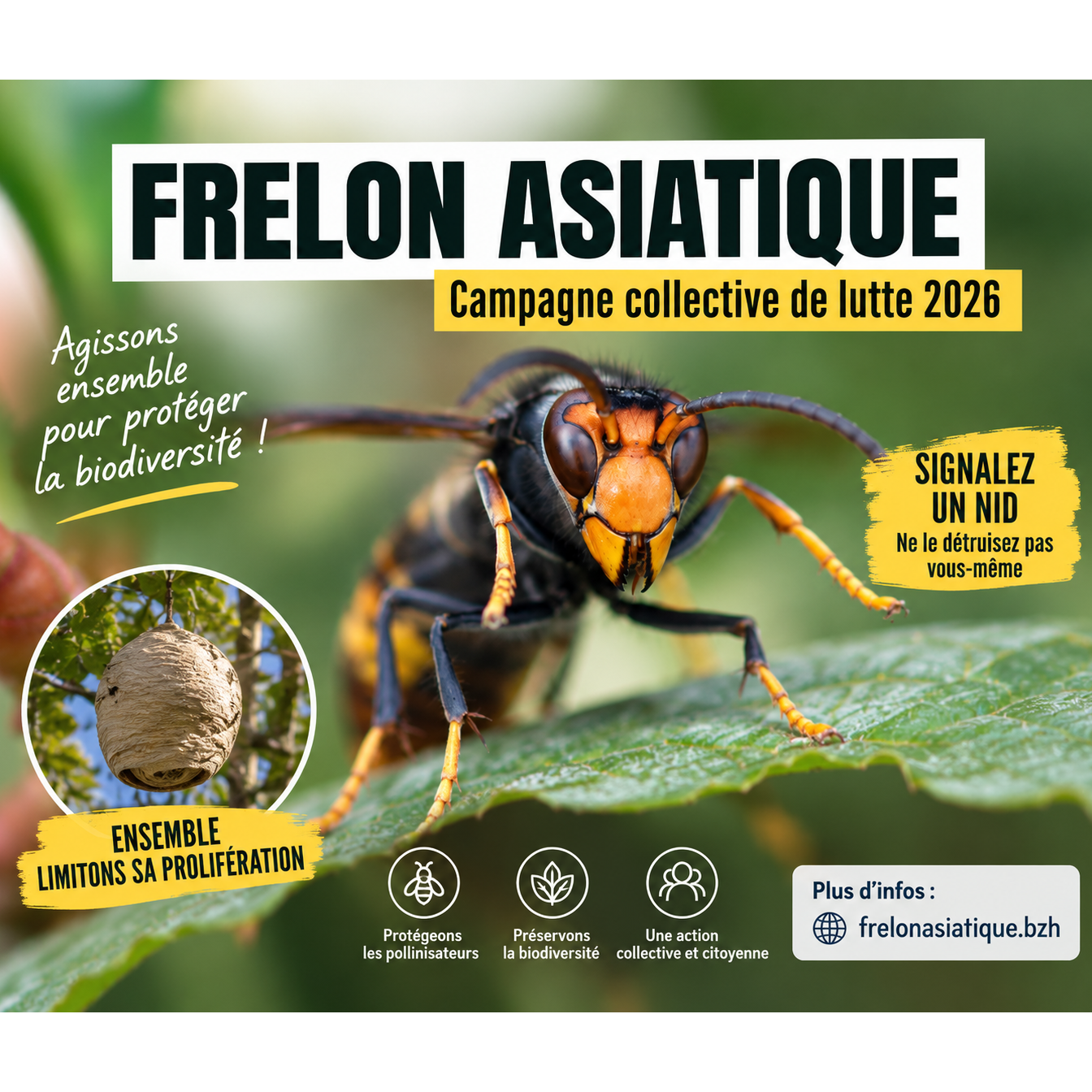 Image par défaut