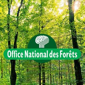 Image par défaut