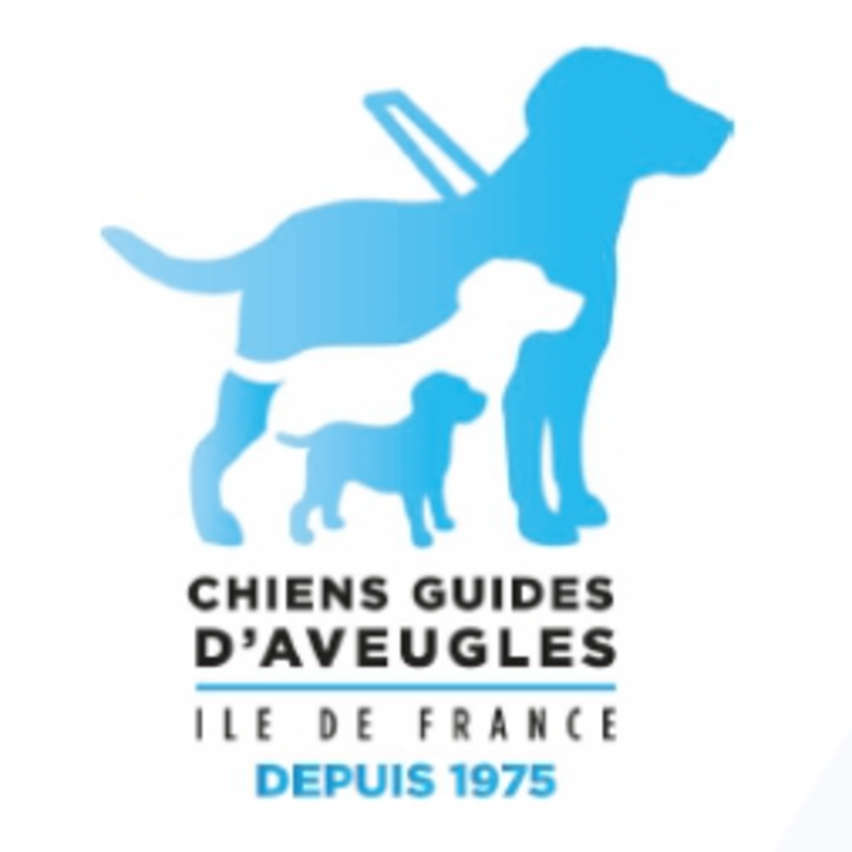 Journée Portes Ouvertes chez les Chiens Guides de Coubert