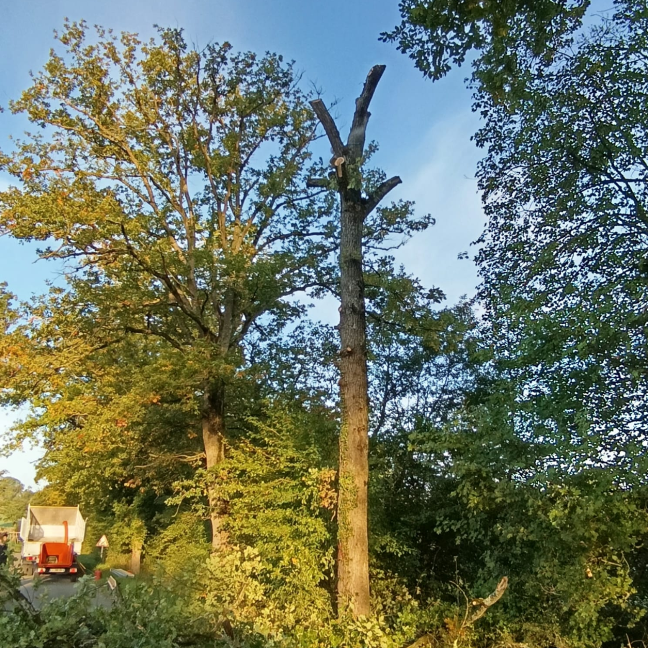 Image par défaut