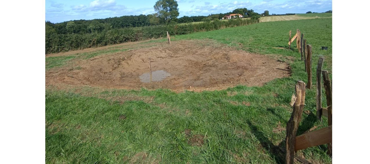 Restauration des mares