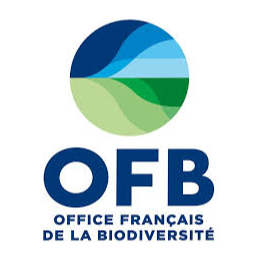 Image par défaut