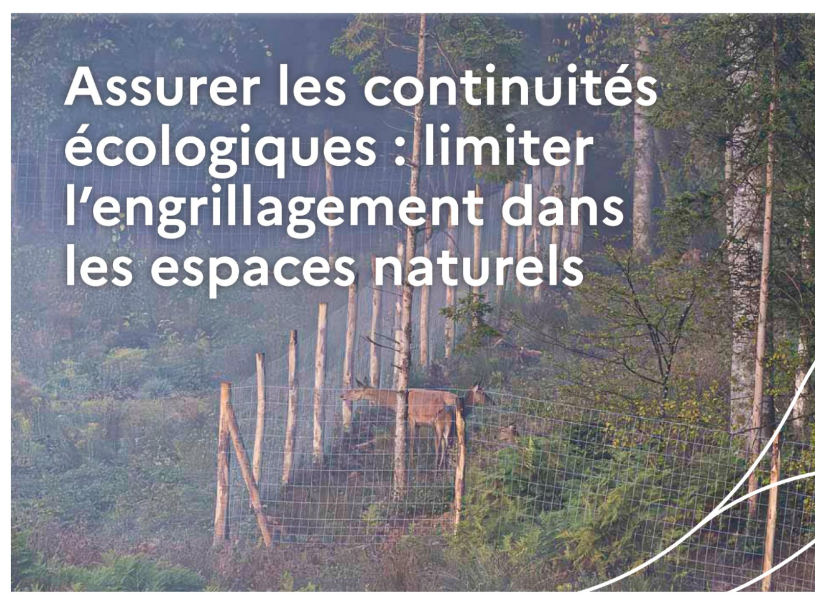 Image par défaut