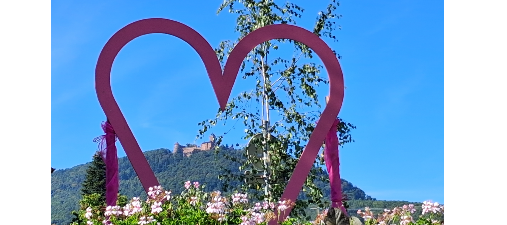 SAINT-HIPPOLYTE